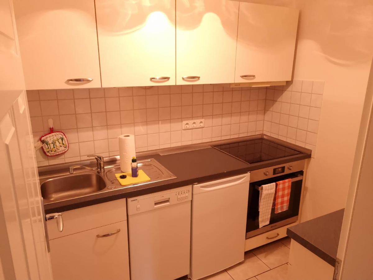 Ferienwohnung An Der Elbfaehre Дрезден Екстер'єр фото